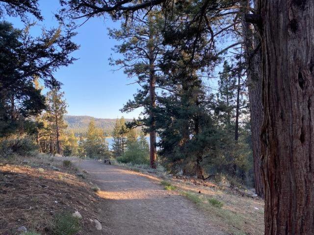 The Fox Paw Villa Big Bear Lake Bagian luar foto