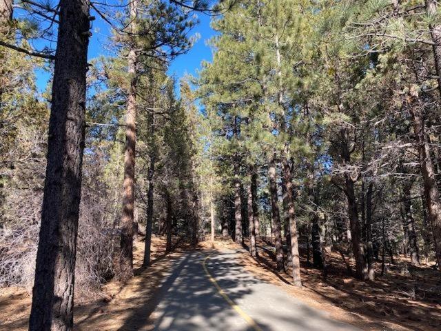 The Fox Paw Villa Big Bear Lake Bagian luar foto